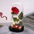 Enchanted Rose Flower in a Glass Dome with LED Light Wooden Base for Valentine's Mother's Day Gifts-UlGadget