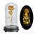 Enchanted Rose Flower in a Glass Dome with LED Light Wooden Base for Valentine's Mother's Day Gifts-UlGadget