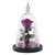 Enchanted Rose Flower in a Glass Dome with LED Light Wooden Base for Valentine's Mother's Day Gifts-UlGadget