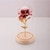 Enchanted Rose Flower in a Glass Dome with LED Light Wooden Base for Valentine's Mother's Day Gifts-UlGadget