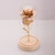 Enchanted Rose Flower in a Glass Dome with LED Light Wooden Base for Valentine's Mother's Day Gifts-UlGadget