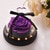 Enchanted Rose Flower in a Glass Dome with LED Light Wooden Base for Valentine's Mother's Day Gifts-UlGadget