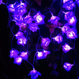 Lighting 2M LED Decoration Rose-UlGadget