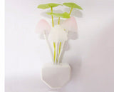 Lucky Mushroom Night Light Color Changing Plug-in LED Mushroom Dream Bed Lamp-UlGadget