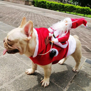 Pet Products Royal Wise Running Santa Christmas Pet Costumes-UlGadget