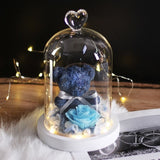 Rose Flowers In Glass Molding Led Light Dear Bear-UlGadget