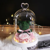 Rose Flowers In Glass Molding Led Light Dear Bear-UlGadget