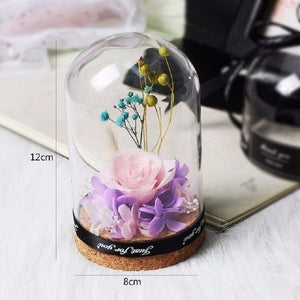 Rose Flowers In Glass Molding Led Light Dear Bear-UlGadget