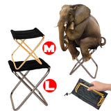 Sports and Entertainment Ultra-Light Folding Chair-UlGadget