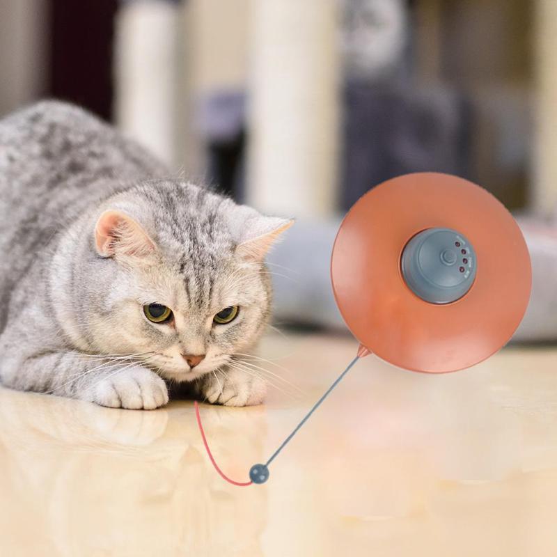 Pet Products Cat's Meow Toy-UlGadget