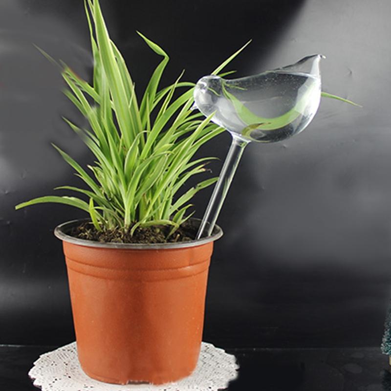 Bird Self Watering Globe Plant Water Bulbs Shape Clear Glass Device-UlGadget