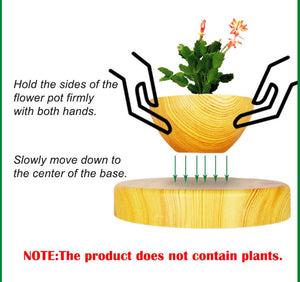 Magnetic Levitation Floating Potted Plant-UlGadget