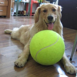 Many Sizes Green Color Giant Inflatable Tennis Ball For Pets-UlGadget