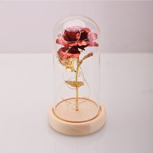 Enchanted Rose Flower in a Glass Dome with LED Light Wooden Base for Valentine's Mother's Day Gifts-UlGadget