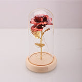 Enchanted Rose Flower in a Glass Dome with LED Light Wooden Base for Valentine's Mother's Day Gifts-UlGadget