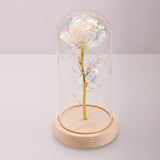 Enchanted Rose Flower in a Glass Dome with LED Light Wooden Base for Valentine's Mother's Day Gifts-UlGadget