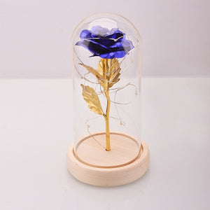 Enchanted Rose Flower in a Glass Dome with LED Light Wooden Base for Valentine's Mother's Day Gifts-UlGadget