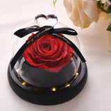 Enchanted Rose Flower in a Glass Dome with LED Light Wooden Base for Valentine's Mother's Day Gifts-UlGadget