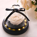 Enchanted Rose Flower in a Glass Dome with LED Light Wooden Base for Valentine's Mother's Day Gifts-UlGadget