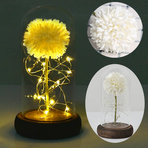 Enchanted Rose Flower in a Glass Dome with LED Light Wooden Base for Valentine's Mother's Day Gifts-UlGadget