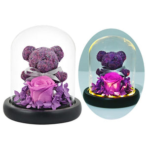 Enchanted Rose Flower in a Glass Dome with LED Light Wooden Base for Valentine's Mother's Day Gifts-UlGadget