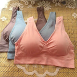 3pcs Women Comfortable Seamless Wireless Sports Bra with Removable Pads-UlGadget