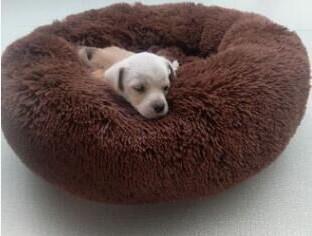 Colorful Ultra Soft Washable Comfy Claming Donut Pet Bed-UlGadget