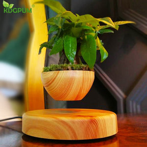 Magnetic Levitation Floating Potted Plant-UlGadget