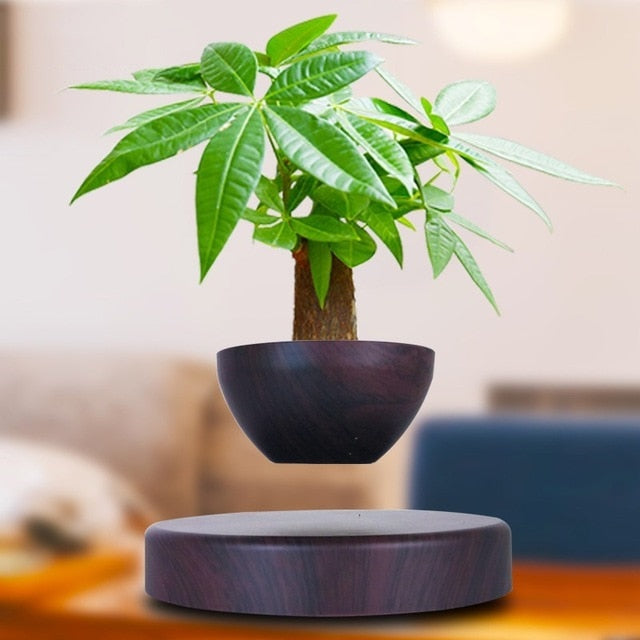 Magnetic Levitation Floating Potted Plant-UlGadget