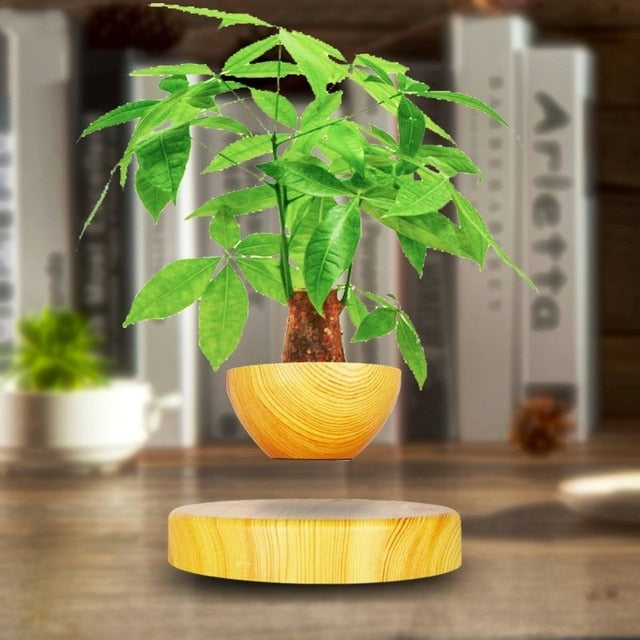 Magnetic Levitation Floating Potted Plant-UlGadget