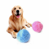 5PCS/Set Pet Electric Automatic Ball Magic Roller Ball