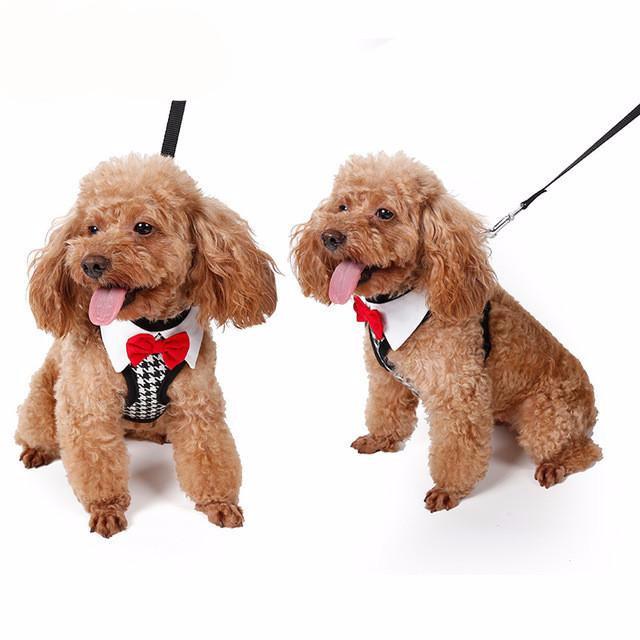 Small Dog Walking Vest Harness Fashion Red Bow Tie-UlGadget