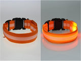 Pet Products Premium Glow In The Dark LED Dog Safety Collar-UlGadget