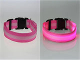 Pet Products Premium Glow In The Dark LED Dog Safety Collar-UlGadget