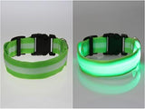 Pet Products Premium Glow In The Dark LED Dog Safety Collar-UlGadget