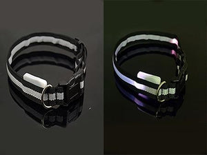 Pet Products Premium Glow In The Dark LED Dog Safety Collar-UlGadget