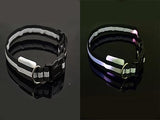 Pet Products Premium Glow In The Dark LED Dog Safety Collar-UlGadget