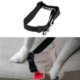 Pet Products Pet Car Seat Belt-UlGadget