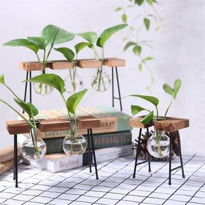 Plant terrarium with wooden stand Glass Vase Adeeing Decoration Gift-UlGadget