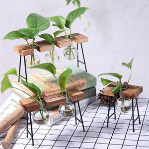 Plant terrarium with wooden stand Glass Vase Adeeing Decoration Gift-UlGadget