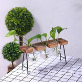 Plant terrarium with wooden stand Glass Vase Adeeing Decoration Gift-UlGadget