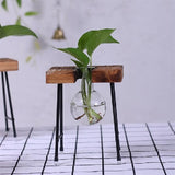 Plant terrarium with wooden stand Glass Vase Adeeing Decoration Gift-UlGadget