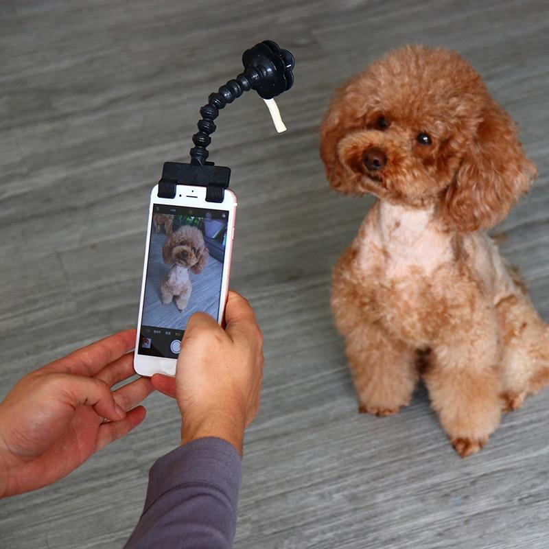 Pet Products Dog Selfie Stick-UlGadget