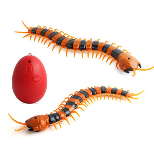 Cat Toys - Remote Control Insect Creative Electric Tricky Funny Cat Dog Toy-UlGadget