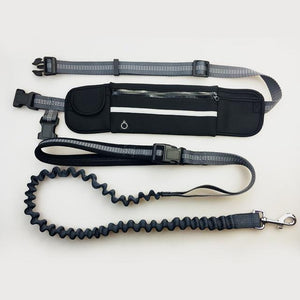 Pet Products Handsfree Bungee Dog Leash-UlGadget