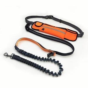 Pet Products Handsfree Bungee Dog Leash-UlGadget