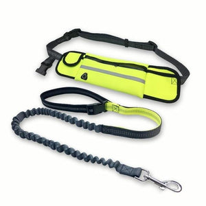 Pet Products Handsfree Bungee Dog Leash-UlGadget