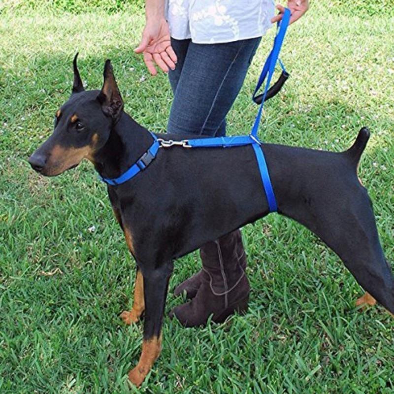 Pet Products Instant dog trainer leash-UlGadget