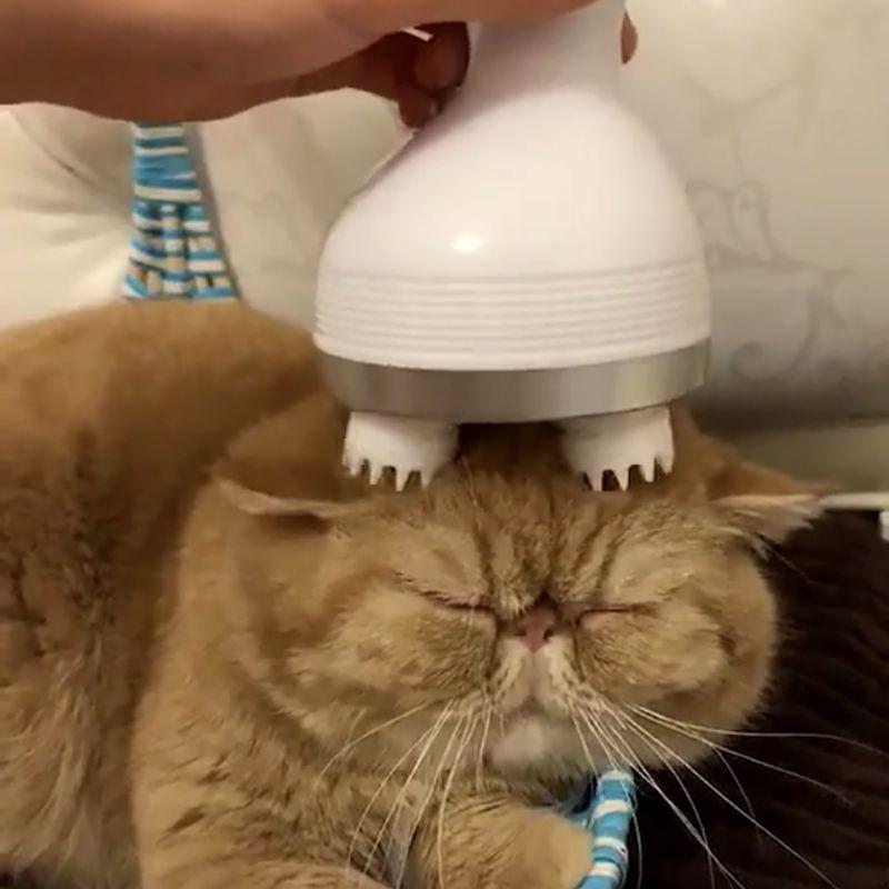 Pet Products Pet Massager-UlGadget