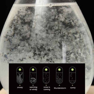 Weather Forecast Storm Glass Crystal Christmas New Year Gift Art Decor-UlGadget